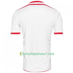 Jalkapallo Pelipaidat Tunisia World Cup 2018 Kotipaita